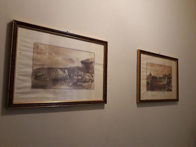 Nabucco Bed&Breakfast Catania Exterior foto